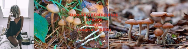 МДМА Остров