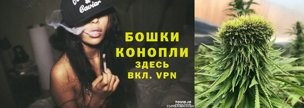 мяу мяу кристалл Осинники